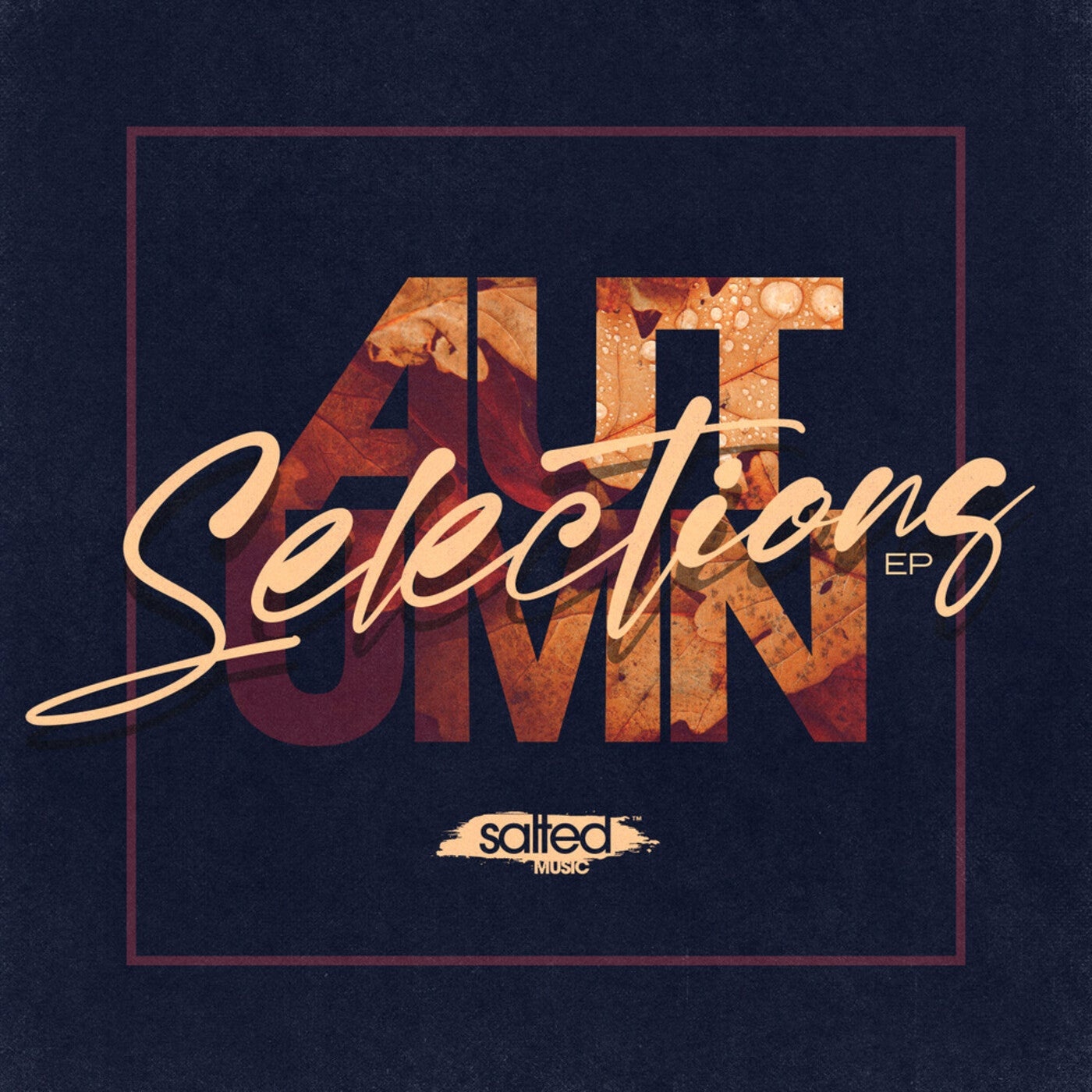 VA - Autumn Selections [SLT216]